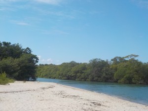 DSCN0708