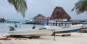 IMG_20141201_132301759