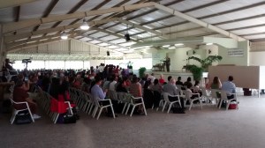 IMG_20141213_122047319