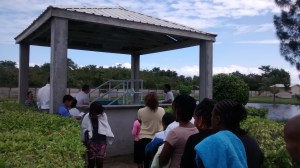 IMG_20141213_124017431