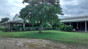 IMG_20141214_125338319_HDR