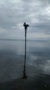 IMG_20150120_100159220