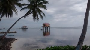 IMG_20150120_101728280