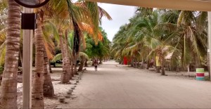 First call territory today.