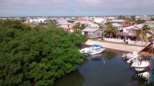 IMG_20151209_095512311[1]